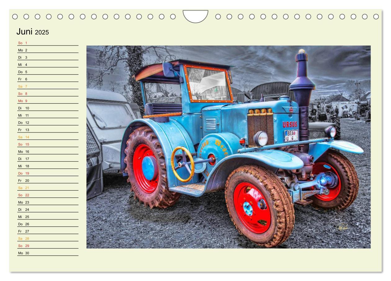 Bild: 9783435586738 | Traktoren - Oldtimer (Wandkalender 2025 DIN A4 quer), CALVENDO...