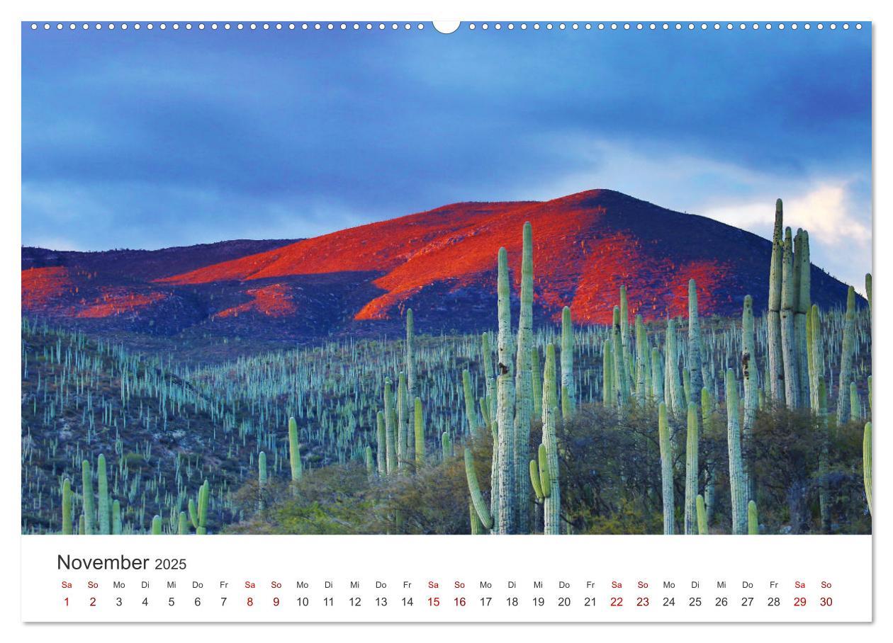 Bild: 9783435004119 | Mexiko - Eine Reise durch ein farbenfrohes Land. (Wandkalender 2025...