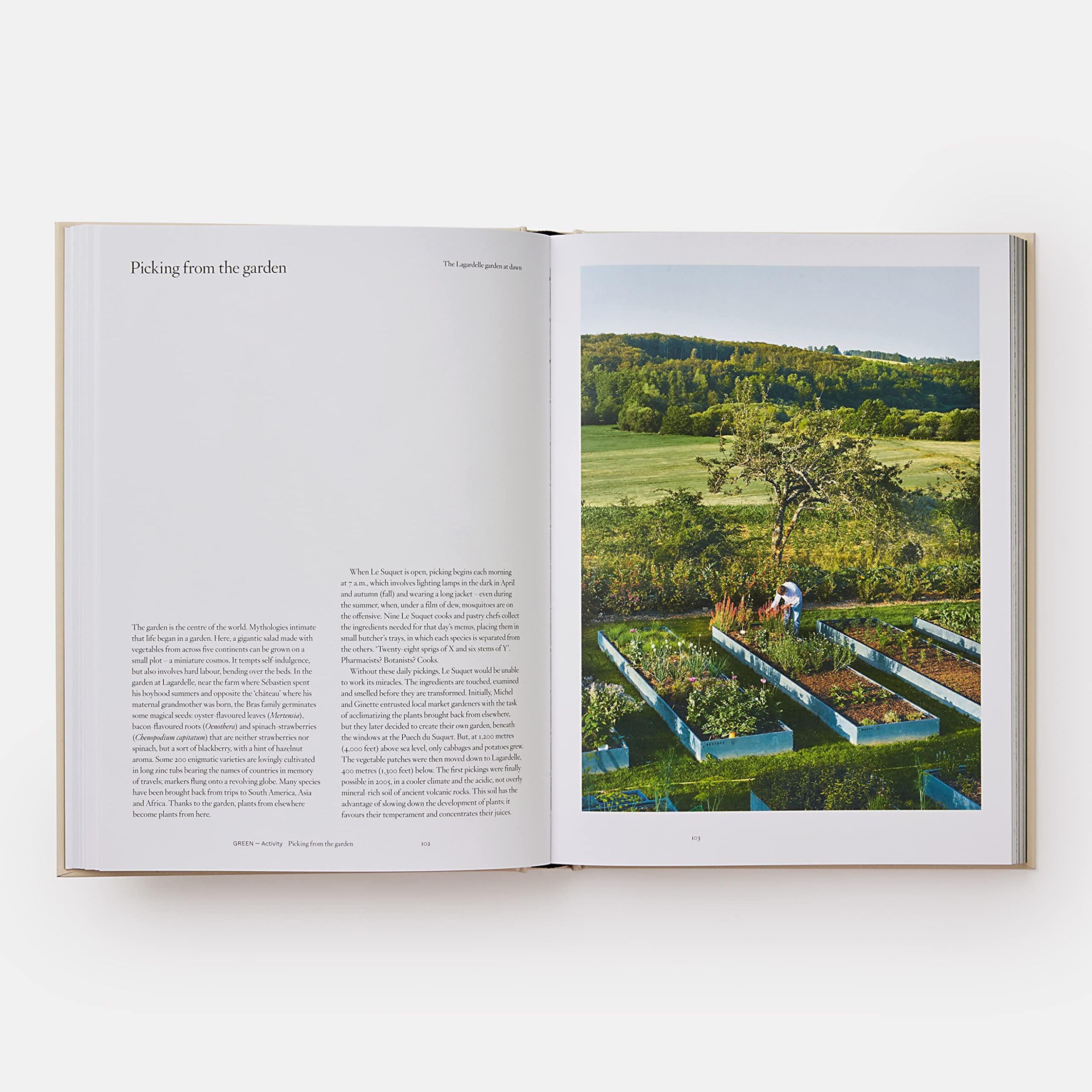 Bild: 9781838662769 | Bras | The Tastes of Aubrac | Sébastien Bras | Buch | Phaidon Press