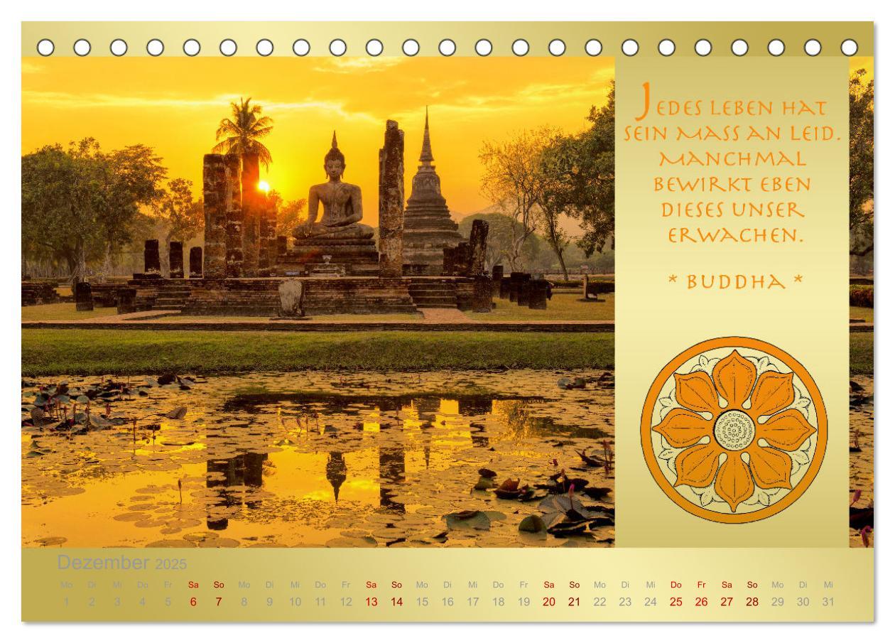 Bild: 9783435085194 | BUDDHA IM GLÜCK - Buddhistische Weisheiten (Tischkalender 2025 DIN...