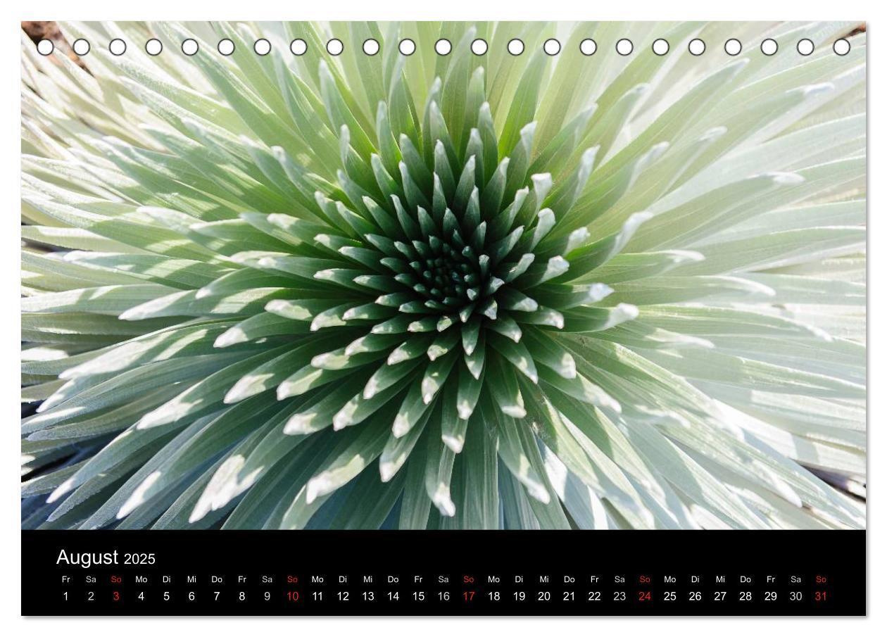 Bild: 9783435718559 | Hawaii - Oahu - Maui (Tischkalender 2025 DIN A5 quer), CALVENDO...