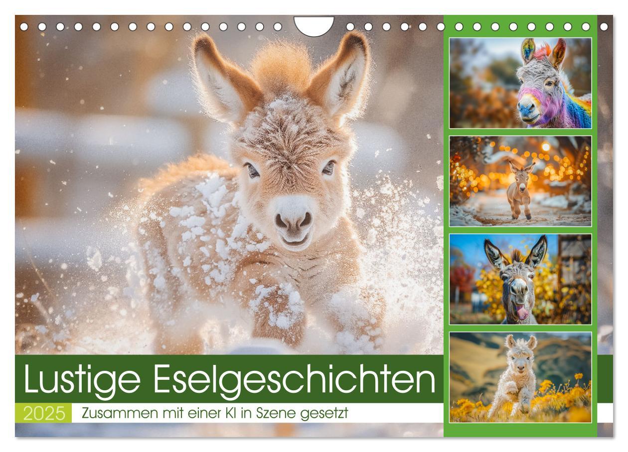 Cover: 9783435722600 | Lustige Eselgeschichten (Wandkalender 2025 DIN A4 quer), CALVENDO...