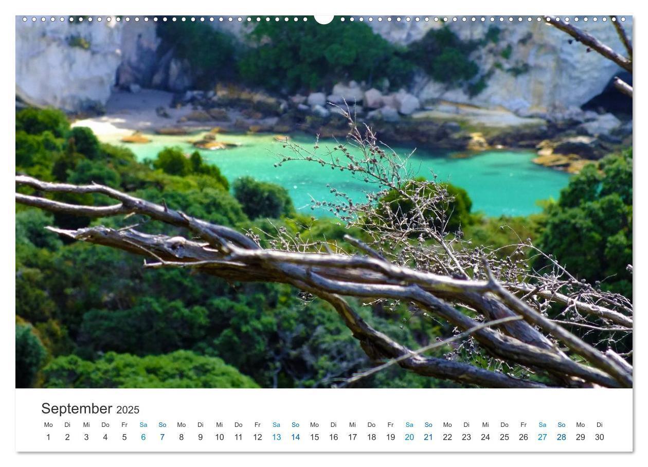 Bild: 9783435822768 | Vielfalt Neuseeland (Wandkalender 2025 DIN A2 quer), CALVENDO...