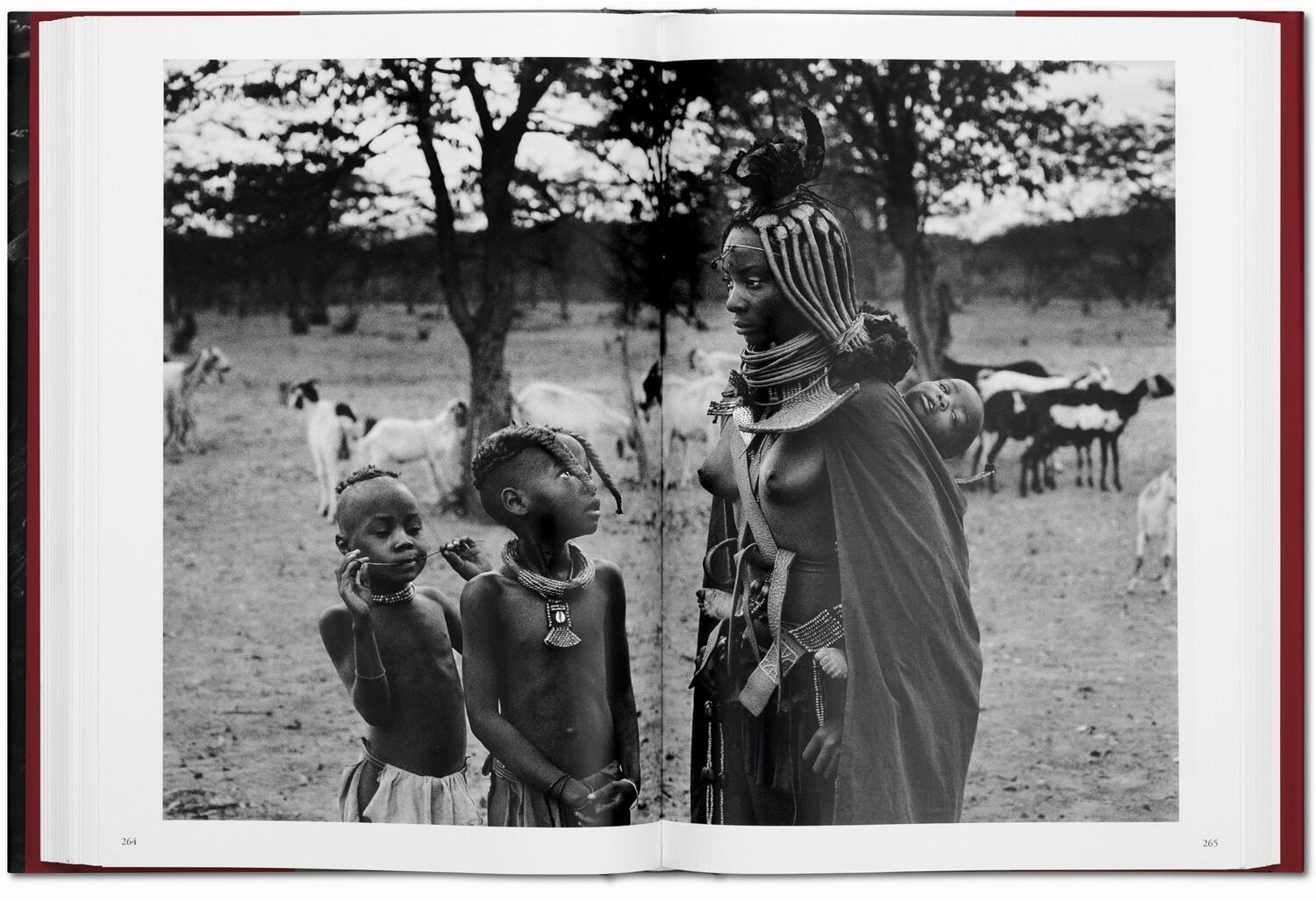 Bild: 9783836542593 | Sebastiao Salgado. Genesis | Trade Edition | Lélia Wanick Salgado