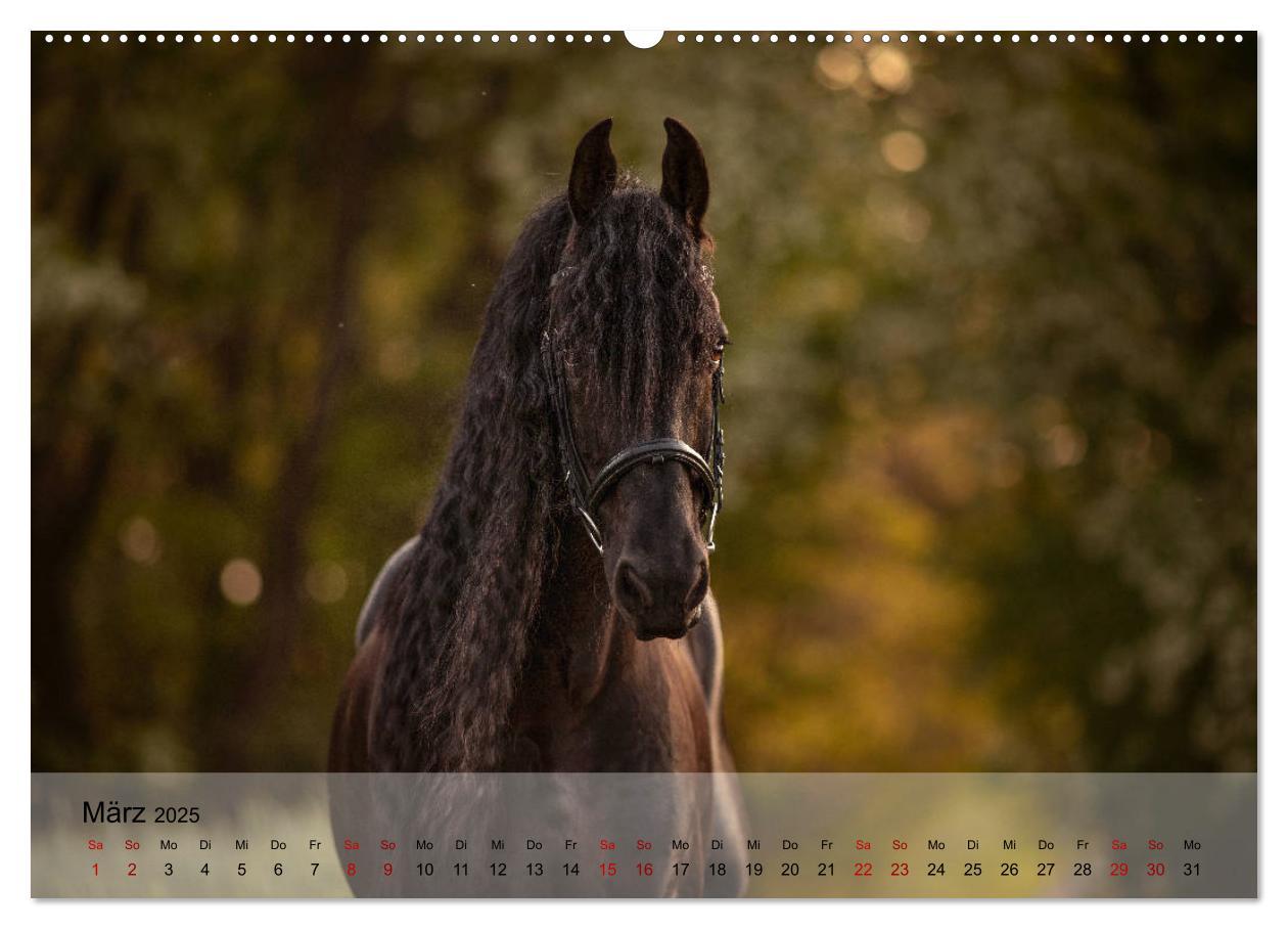 Bild: 9783435288878 | Pferdezauber 2025 (Wandkalender 2025 DIN A2 quer), CALVENDO...