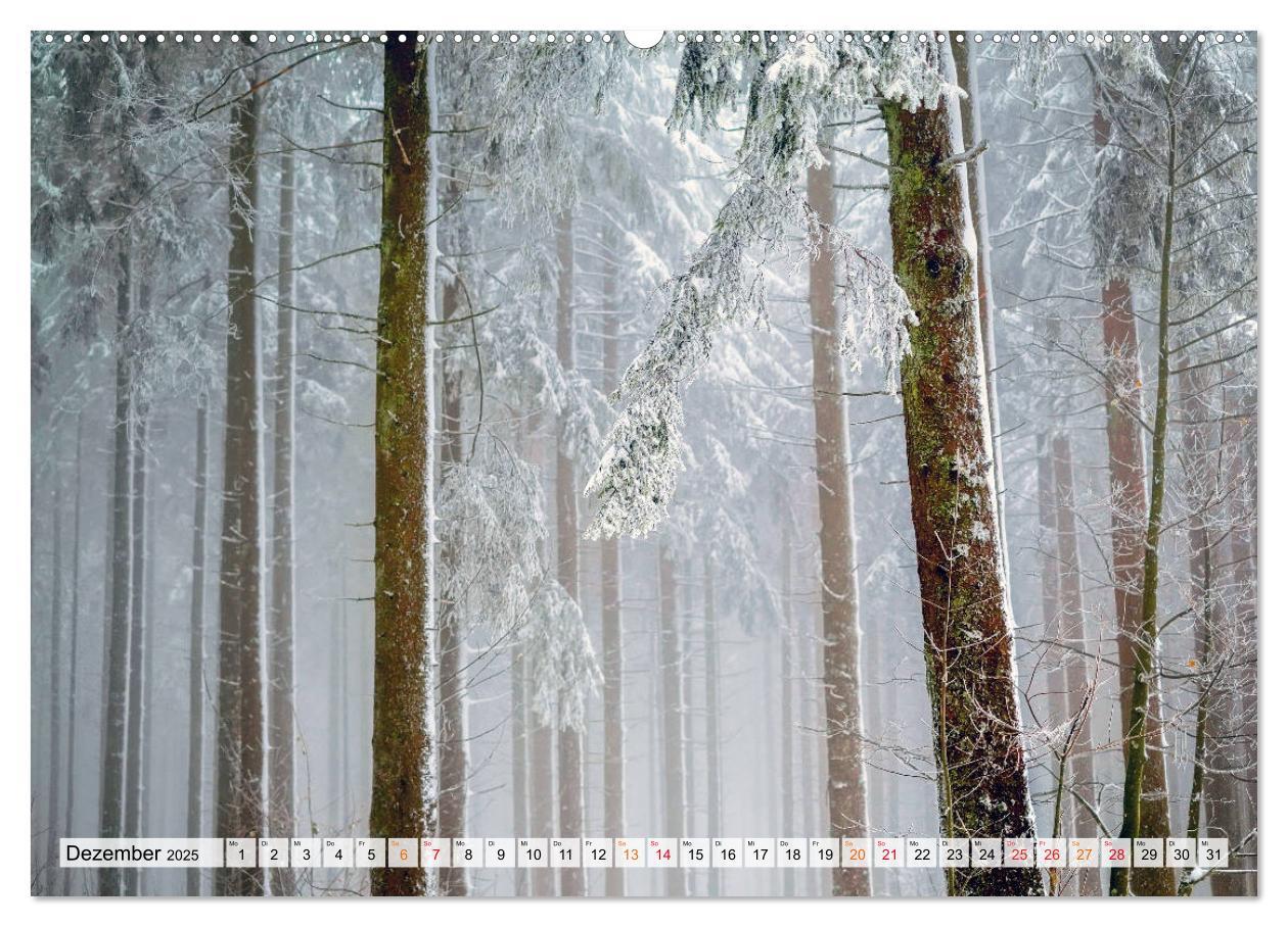 Bild: 9783435071173 | Wald - mystische Spaziergänge (Wandkalender 2025 DIN A2 quer),...