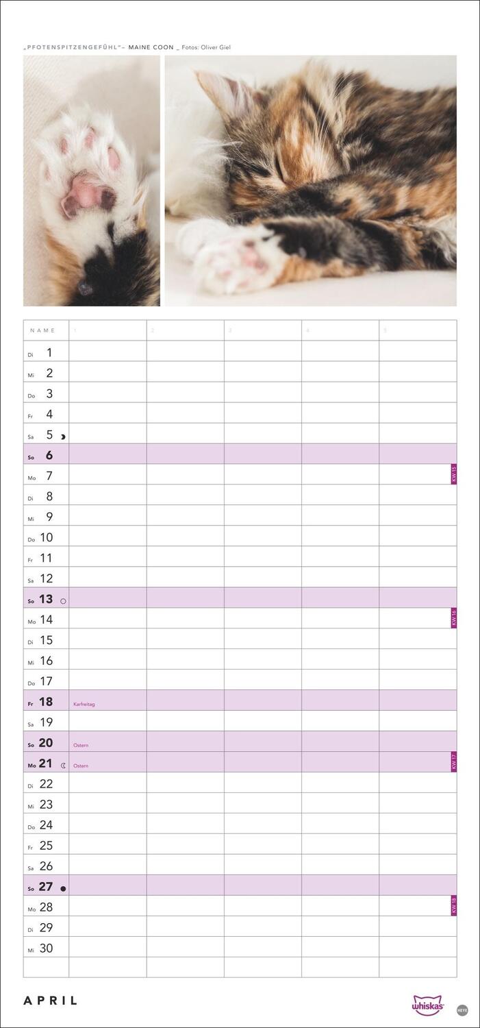 Bild: 9783756405831 | Whiskas Familienplaner 2025 | Kalender | Familienplaner Athesia | 2025