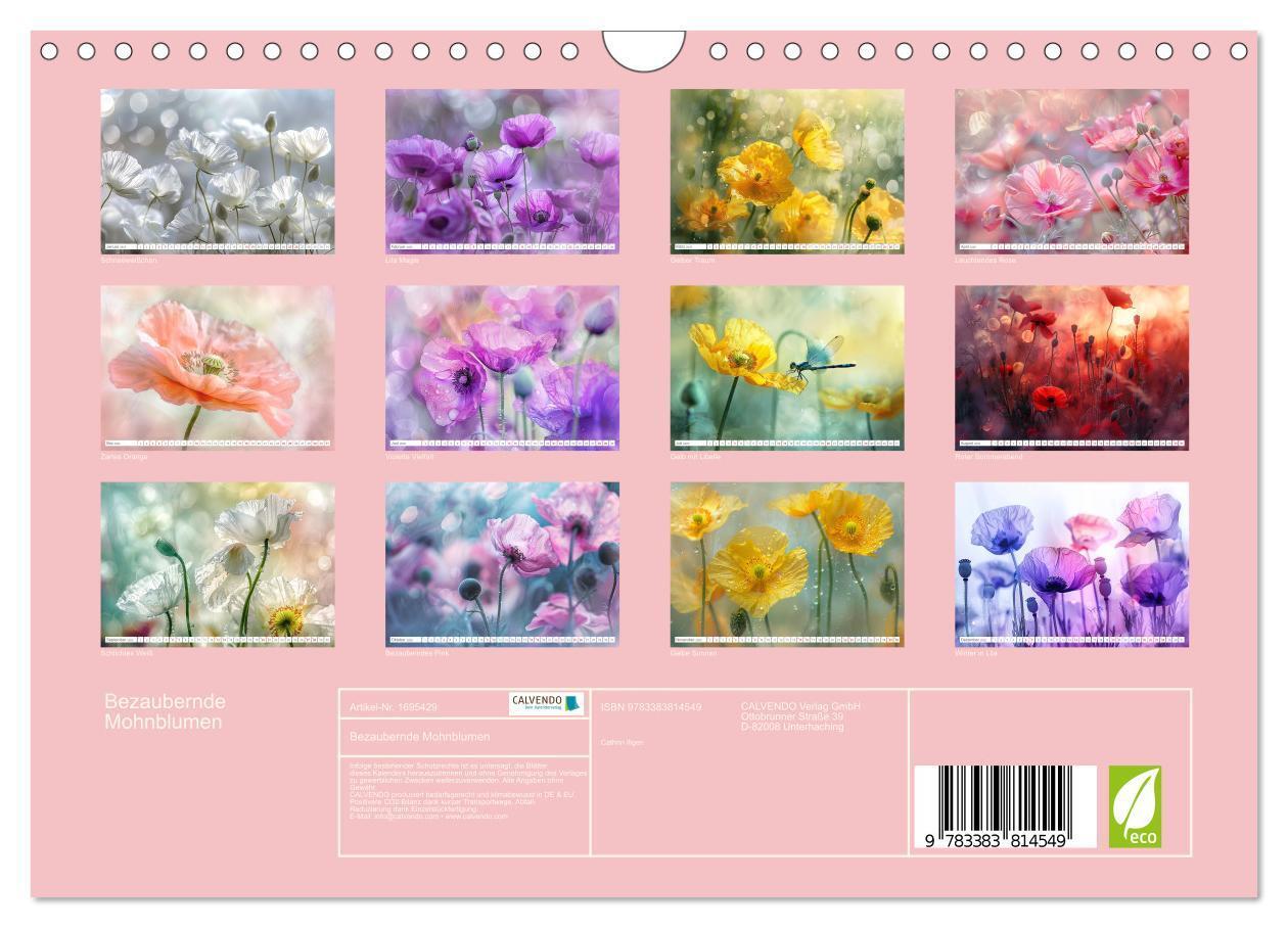 Bild: 9783383814549 | Bezaubernde Mohnblumen (Wandkalender 2025 DIN A4 quer), CALVENDO...