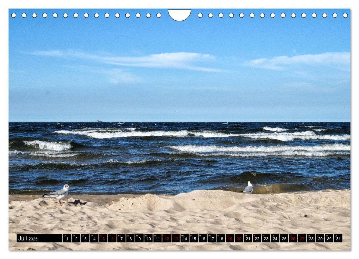 Bild: 9783435440504 | Das idyllische Usedom (Wandkalender 2025 DIN A4 quer), CALVENDO...