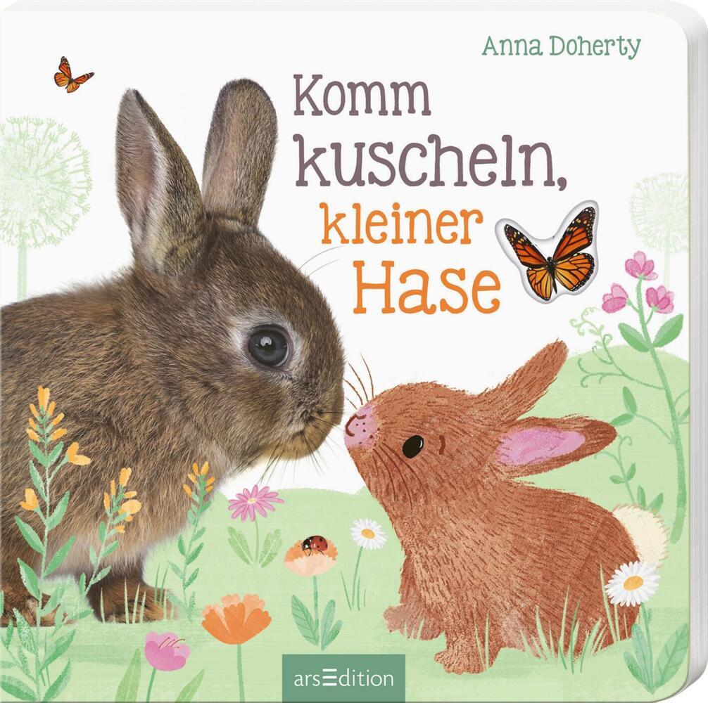 Cover: 9783845847047 | Komm kuscheln, kleiner Hase | Anna Doherty | Buch | 10 S. | Deutsch