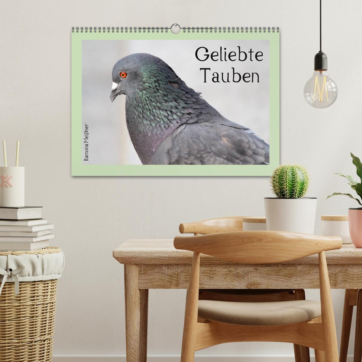 Bild: 9783435756278 | Geliebte Tauben (Wandkalender 2025 DIN A3 quer), CALVENDO...