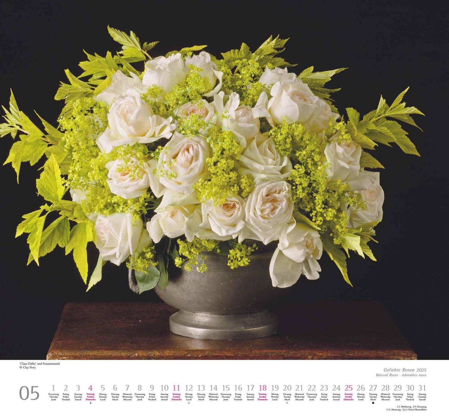 Bild: 4250809653082 | Geliebte Rosen 2025 - DUMONT Wandkalender - mit allen wichtigen...