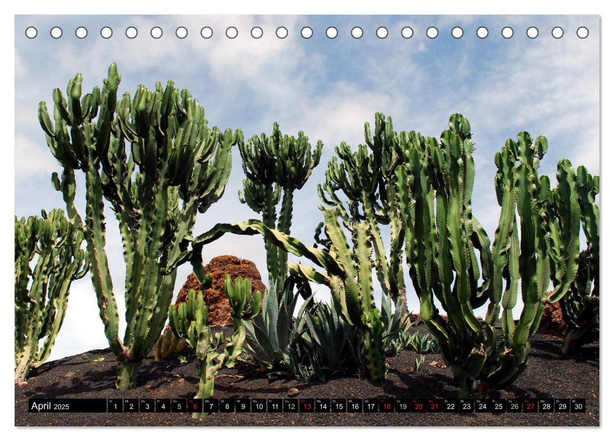 Bild: 9783435664351 | Lanzarote - Kanarische Inseln (Tischkalender 2025 DIN A5 quer),...