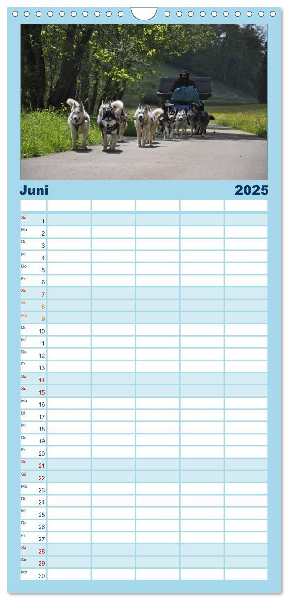 Bild: 9783457113264 | Familienplaner 2025 - Husky-Kalender mit 5 Spalten (Wandkalender,...