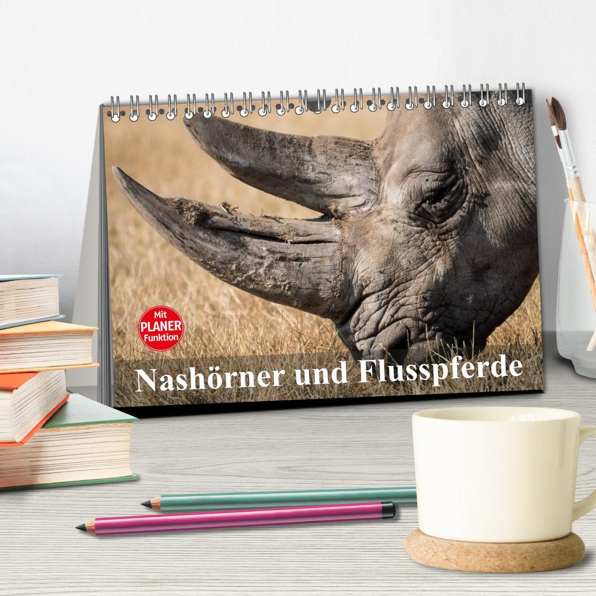 Bild: 9783435534173 | Nashörner und Flusspferde (Tischkalender 2025 DIN A5 quer),...