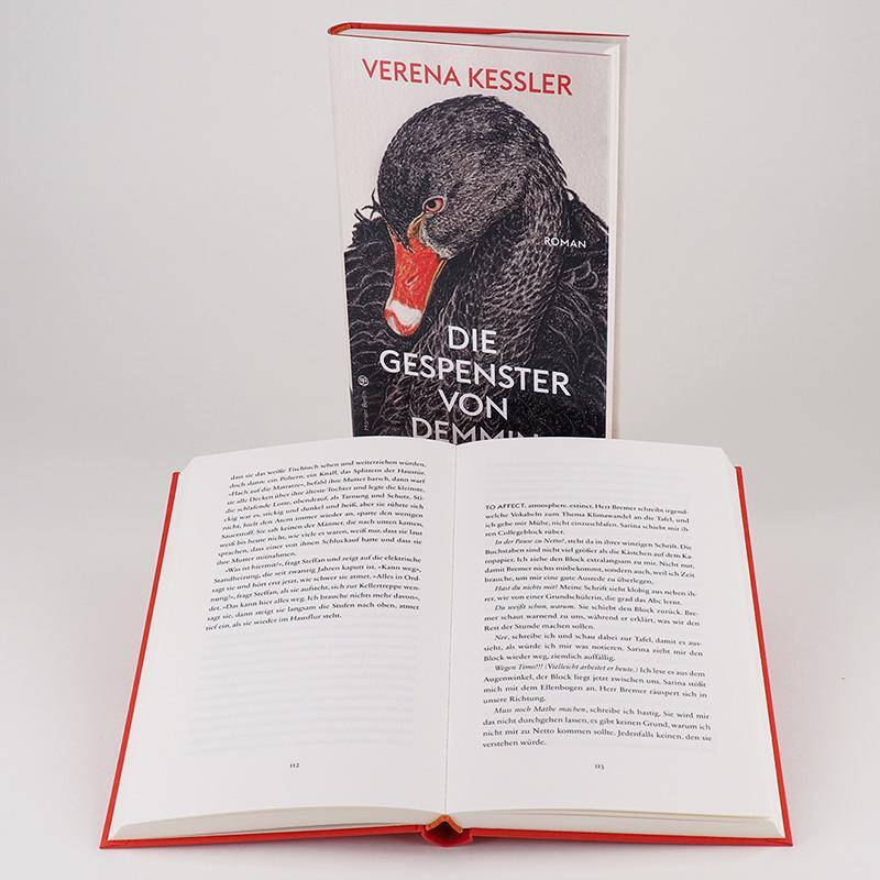 Bild: 9783446267848 | Die Gespenster von Demmin | Verena Keßler | Buch | 240 S. | Deutsch