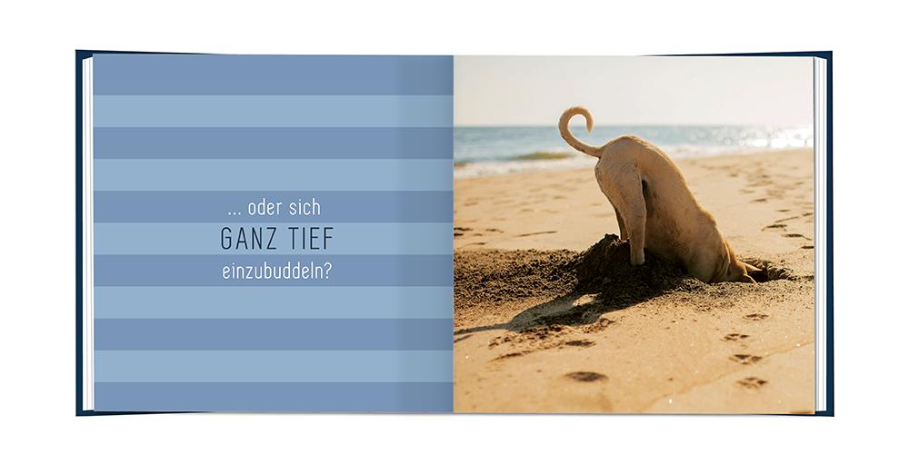 Bild: 9783862297856 | Ein cooler Typ hat Geburtstag! | Minibuch | Original | Buch | 48 S.