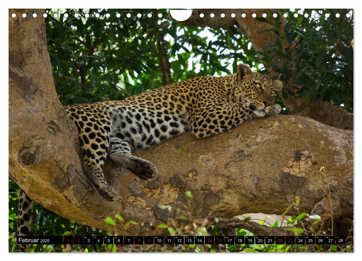 Bild: 9783435342563 | Tansania - Tierwanderung in der Serengeti (Wandkalender 2025 DIN A4...