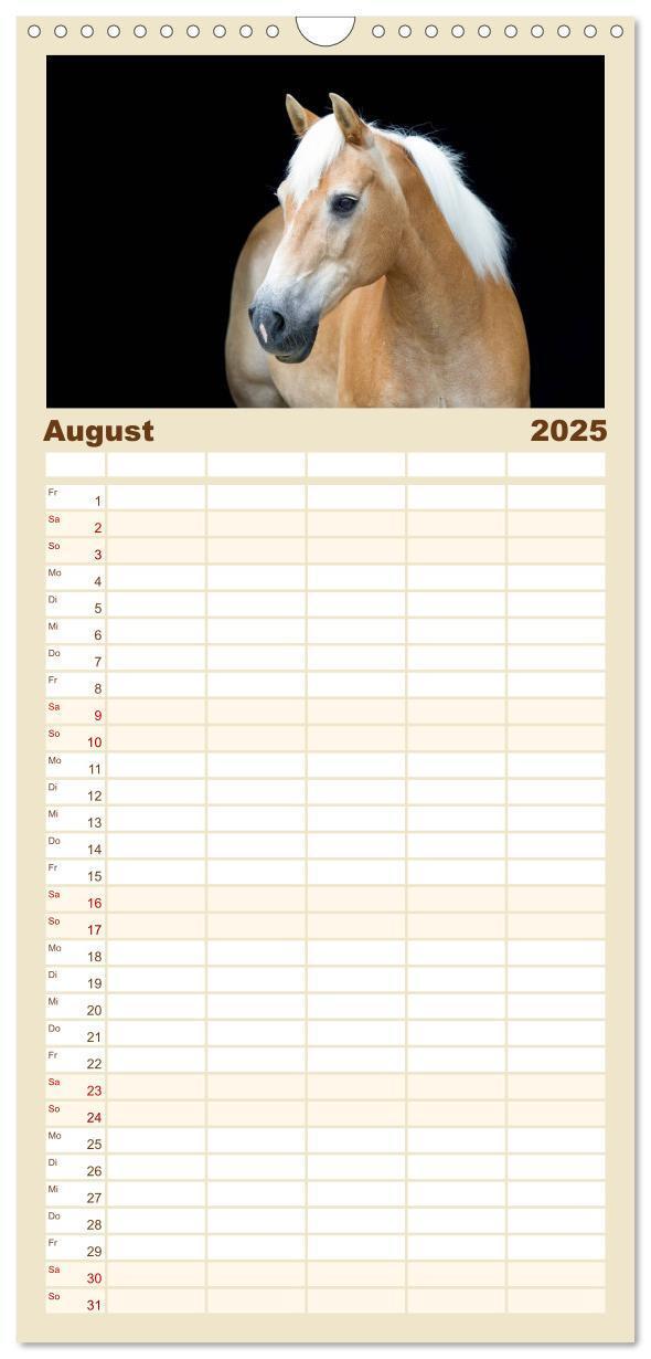 Bild: 9783457123959 | Familienplaner 2025 - Haflinger mit 5 Spalten (Wandkalender, 21 x...