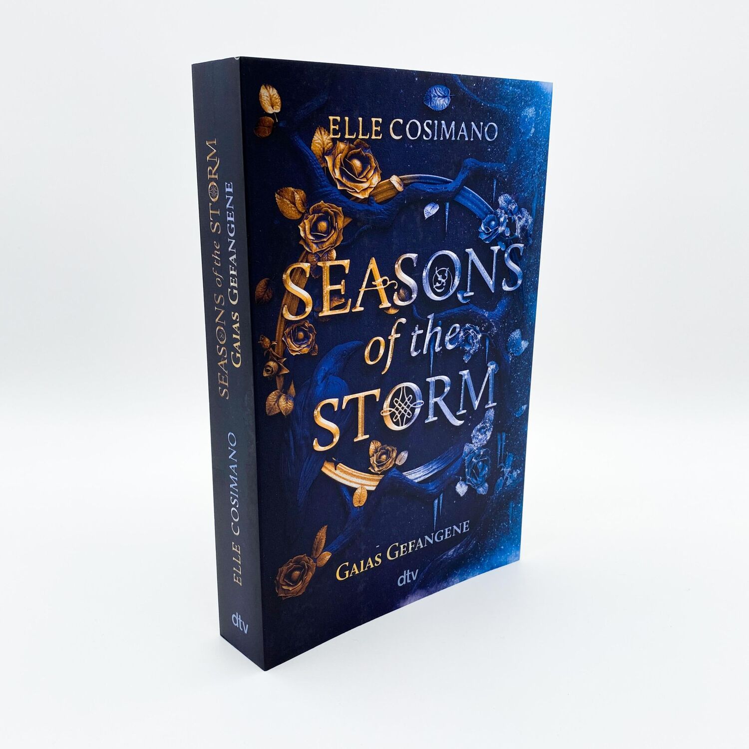 Bild: 9783423740852 | Seasons of the Storm - Gaias Gefangene | Elle Cosimano | Taschenbuch