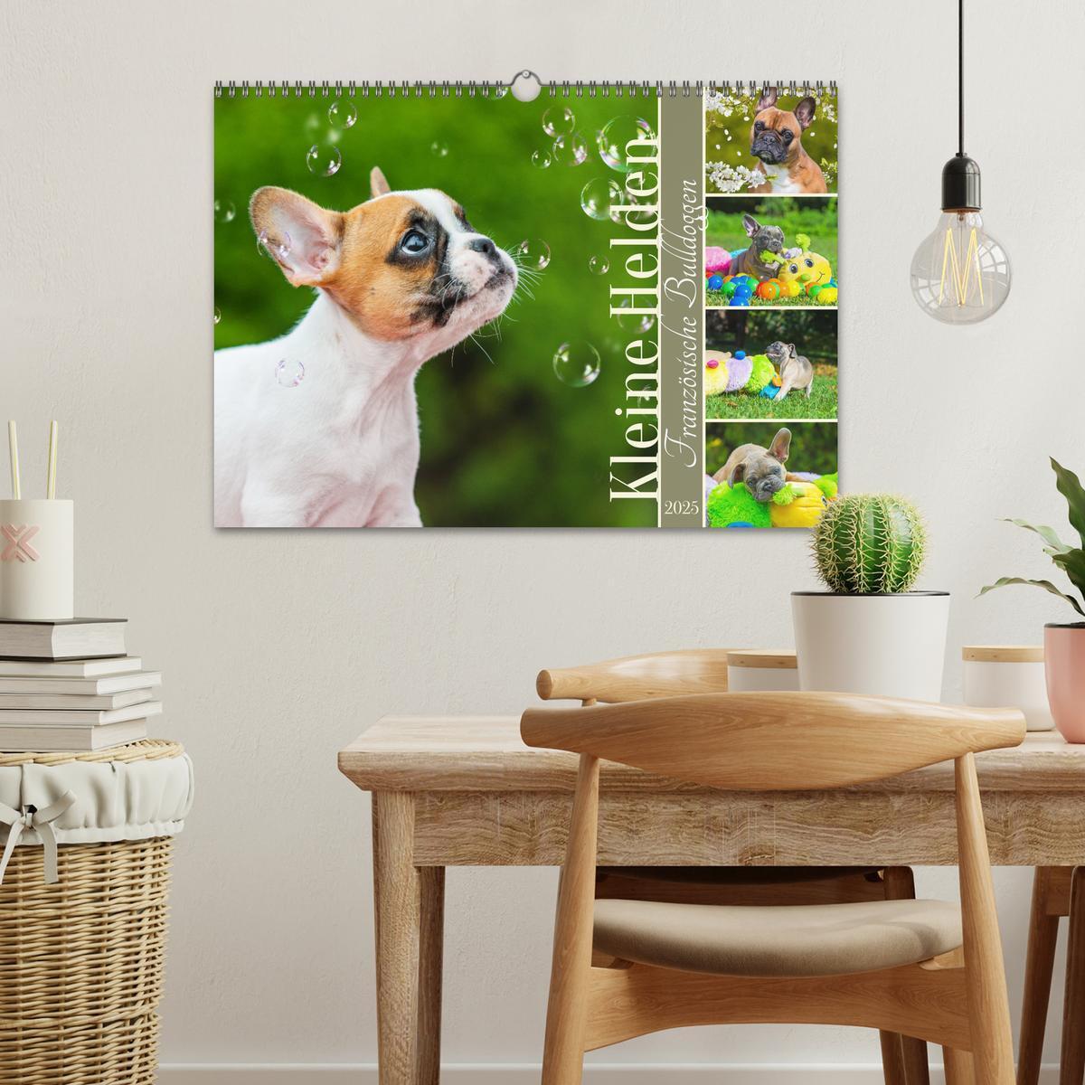 Bild: 9783457178058 | Kleine Helden - Französische Bulldoggen (Wandkalender 2025 DIN A3...