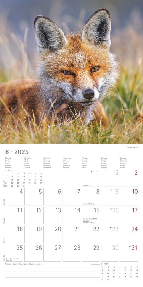 Bild: 4251732340803 | Alpha Edition - Wald &amp; Flur 2025 Broschürenkalender, 30x30cm,...