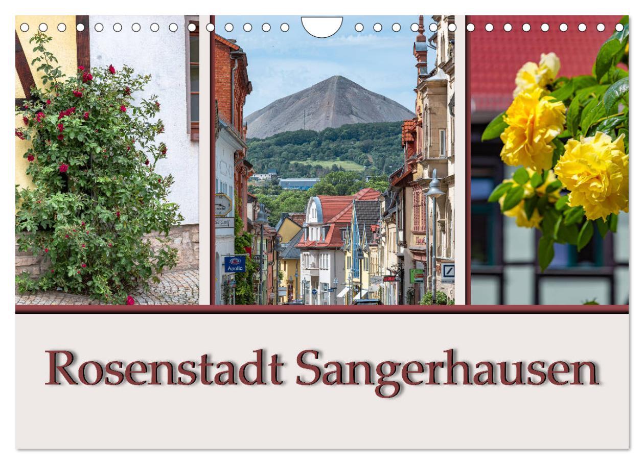 Cover: 9783435225545 | Rosenstadt Sangerhausen (Wandkalender 2025 DIN A4 quer), CALVENDO...