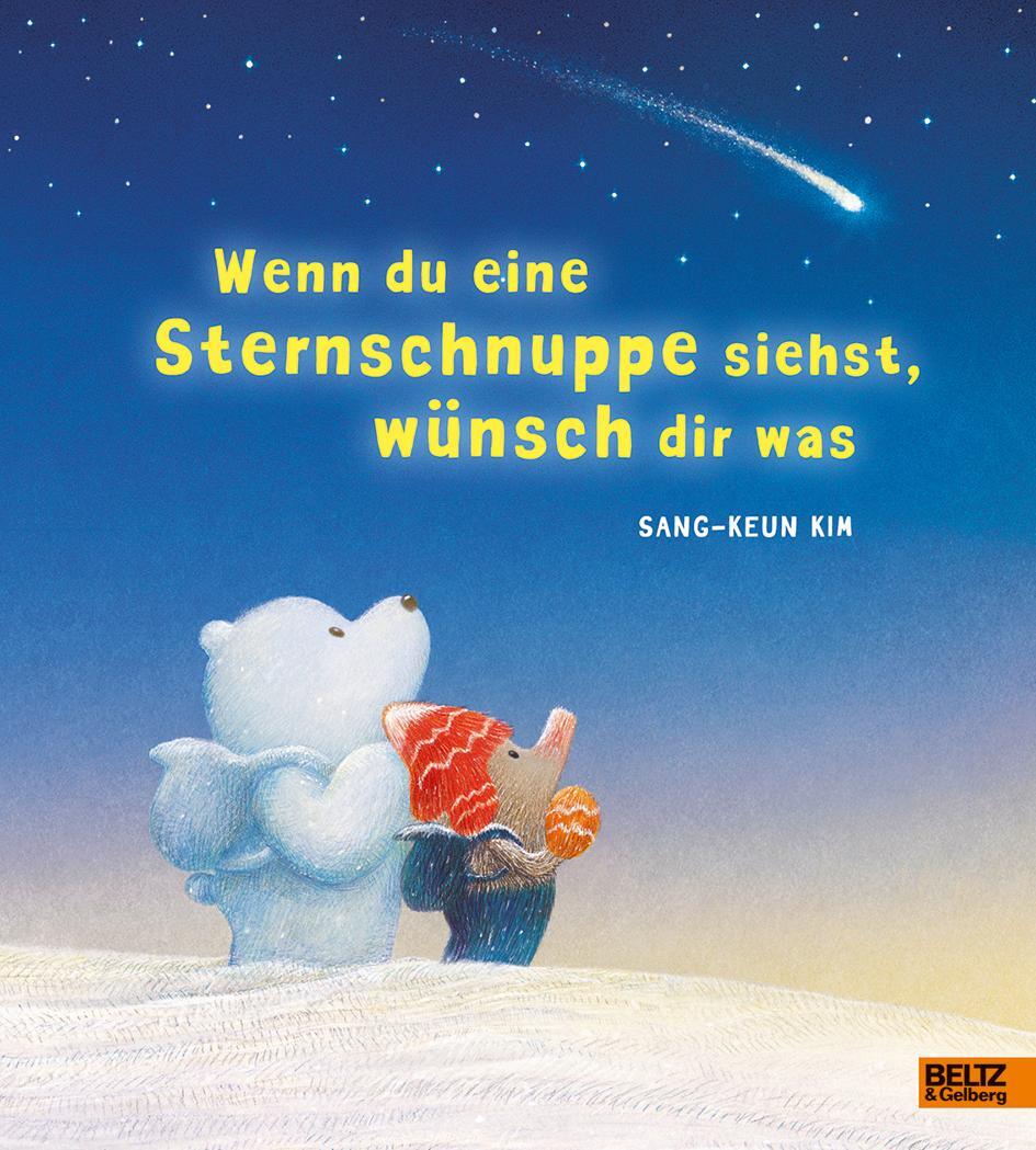 Cover: 9783407823076 | Wenn du eine Sternschnuppe siehst, wünsch dir was | Sang-Keun Kim