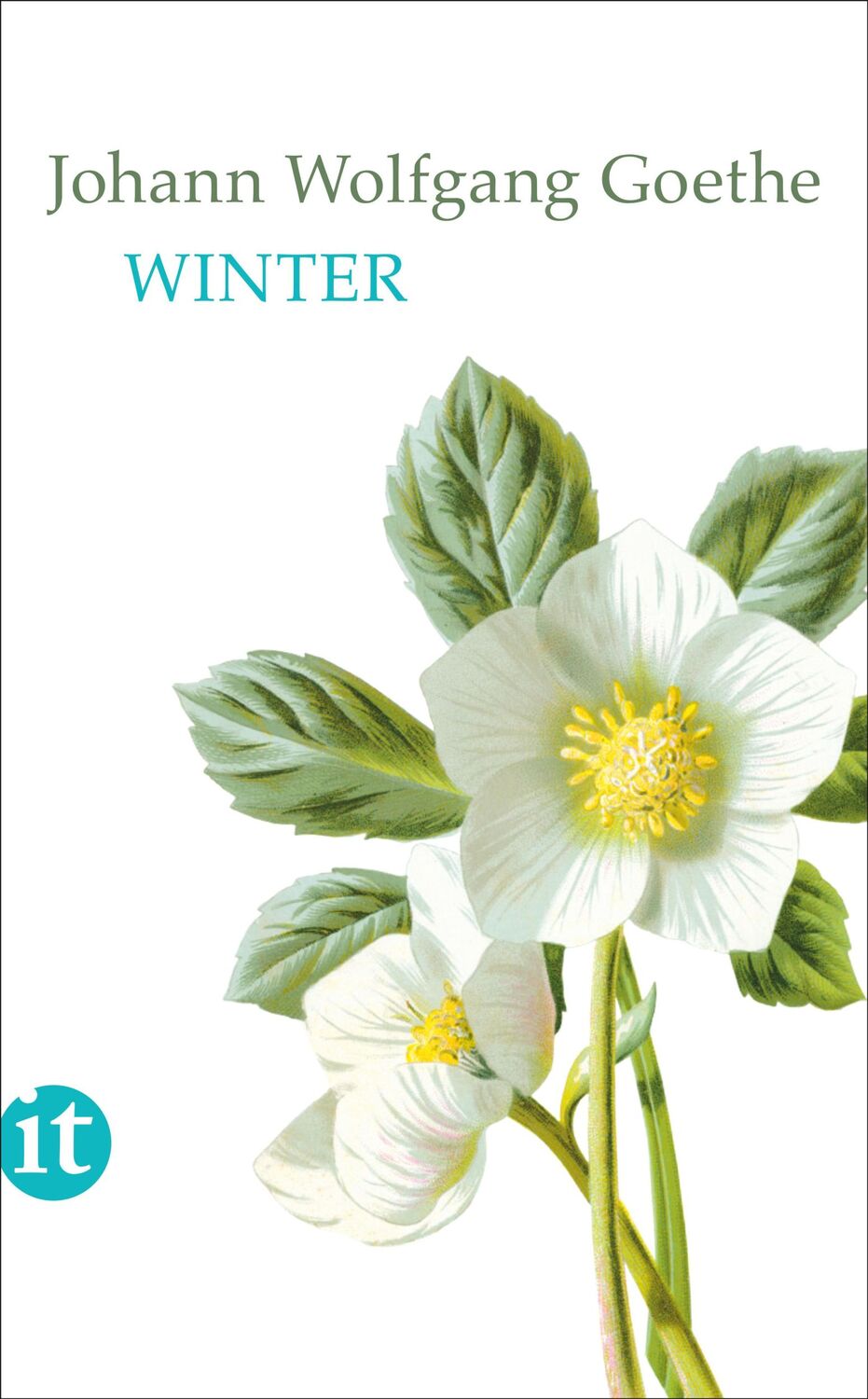 Cover: 9783458363088 | Winter | Johann Wolfgang von Goethe | Taschenbuch | 123 S. | Deutsch