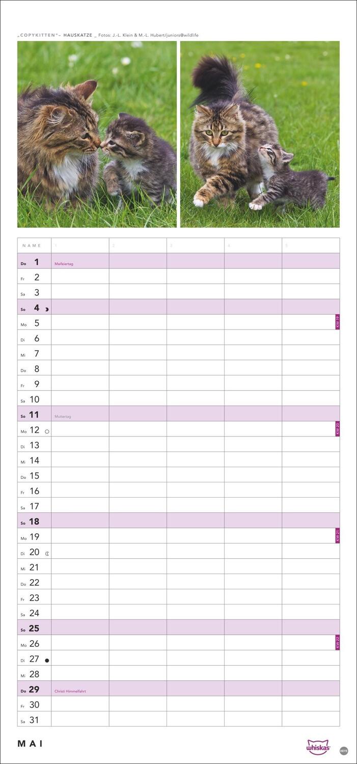 Bild: 9783756405831 | Whiskas Familienplaner 2025 | Kalender | Familienplaner Athesia | 2025