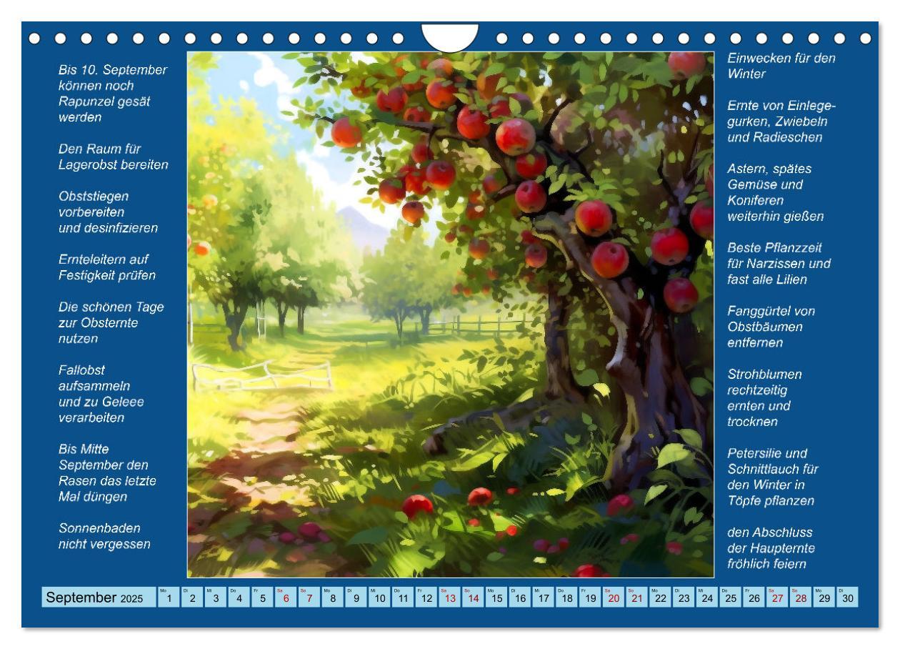 Bild: 9783383864742 | Was mache ich wann im Garten (Wandkalender 2025 DIN A4 quer),...