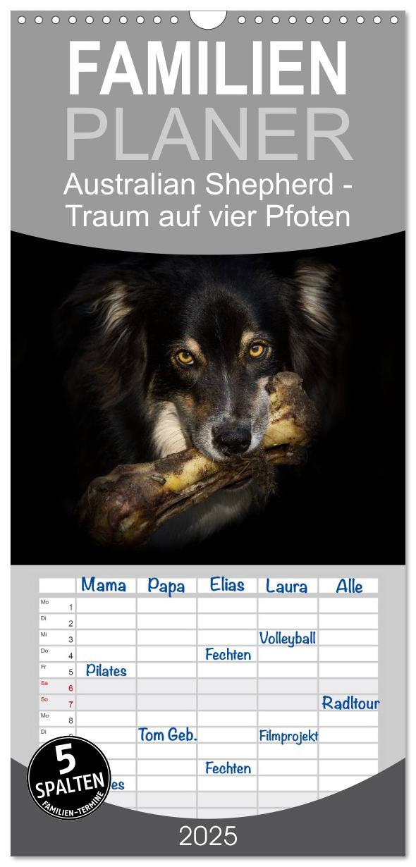 Cover: 9783457116814 | Familienplaner 2025 - Australian Shepherd - Traum auf vier Pfoten...