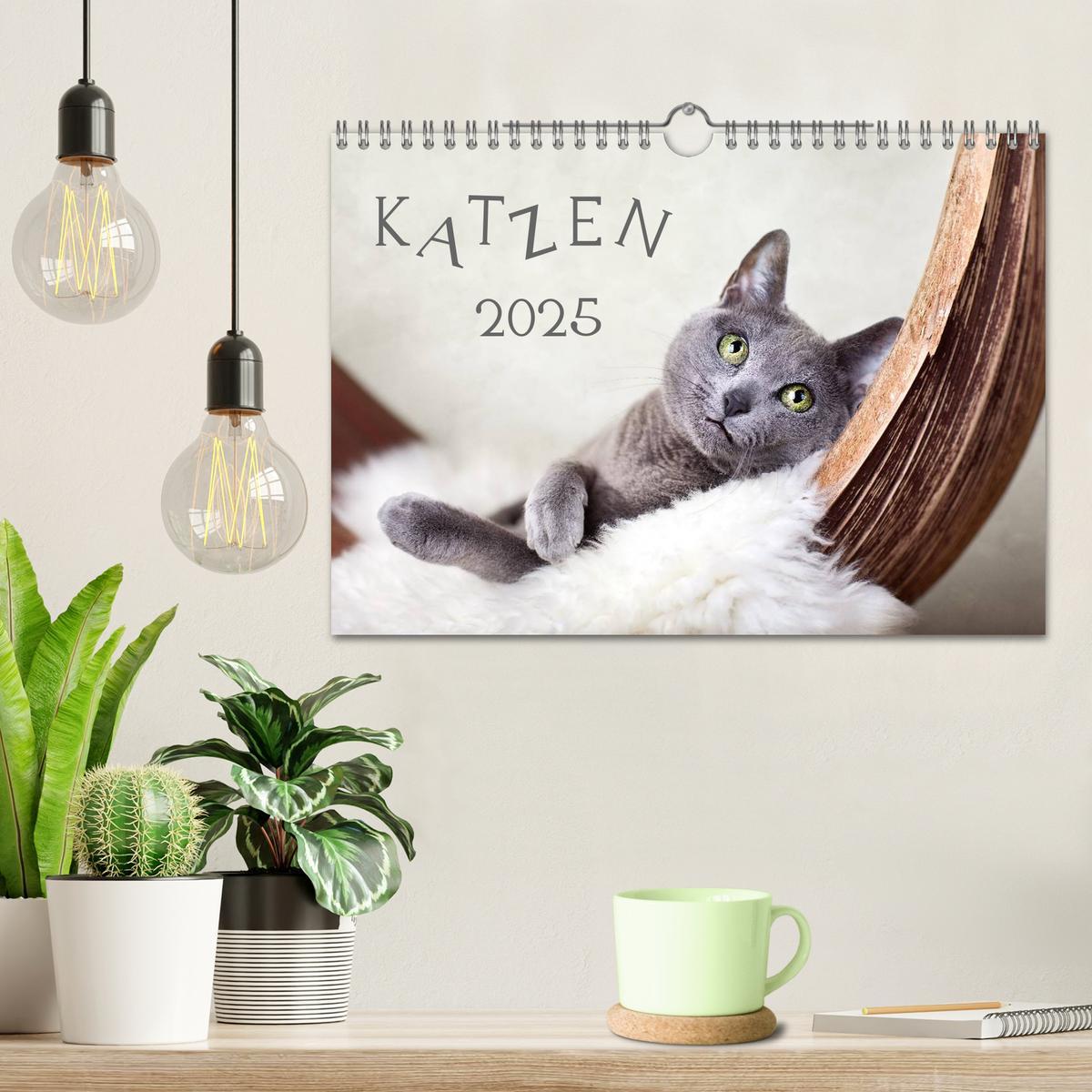 Bild: 9783435837663 | Katzen 2025 (Wandkalender 2025 DIN A4 quer), CALVENDO Monatskalender