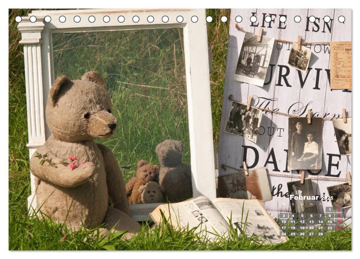 Bild: 9783435575251 | Geliebte Bären - Teddys (Tischkalender 2025 DIN A5 quer), CALVENDO...