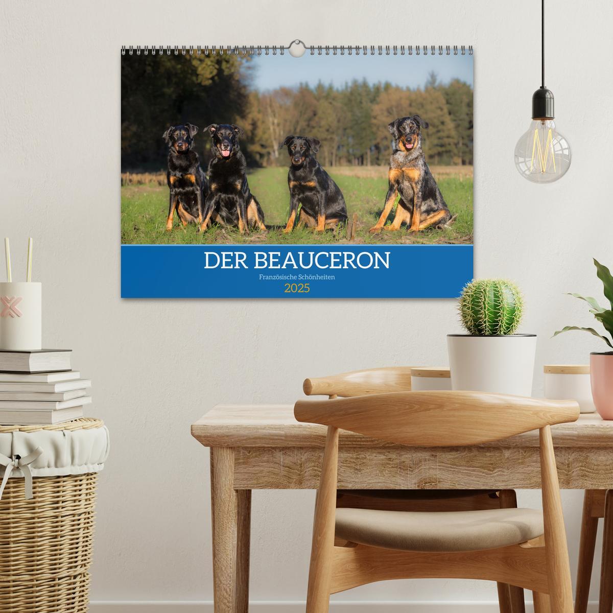 Bild: 9783457197219 | Der Beauceron (Wandkalender 2025 DIN A3 quer), CALVENDO Monatskalender