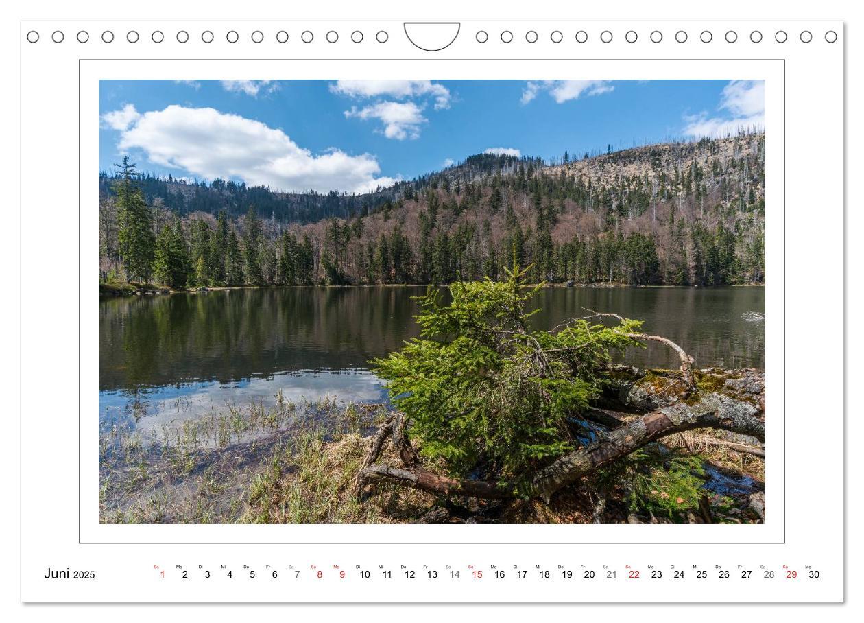 Bild: 9783435462636 | Unterwegs im Bayerischen Wald (Wandkalender 2025 DIN A4 quer),...