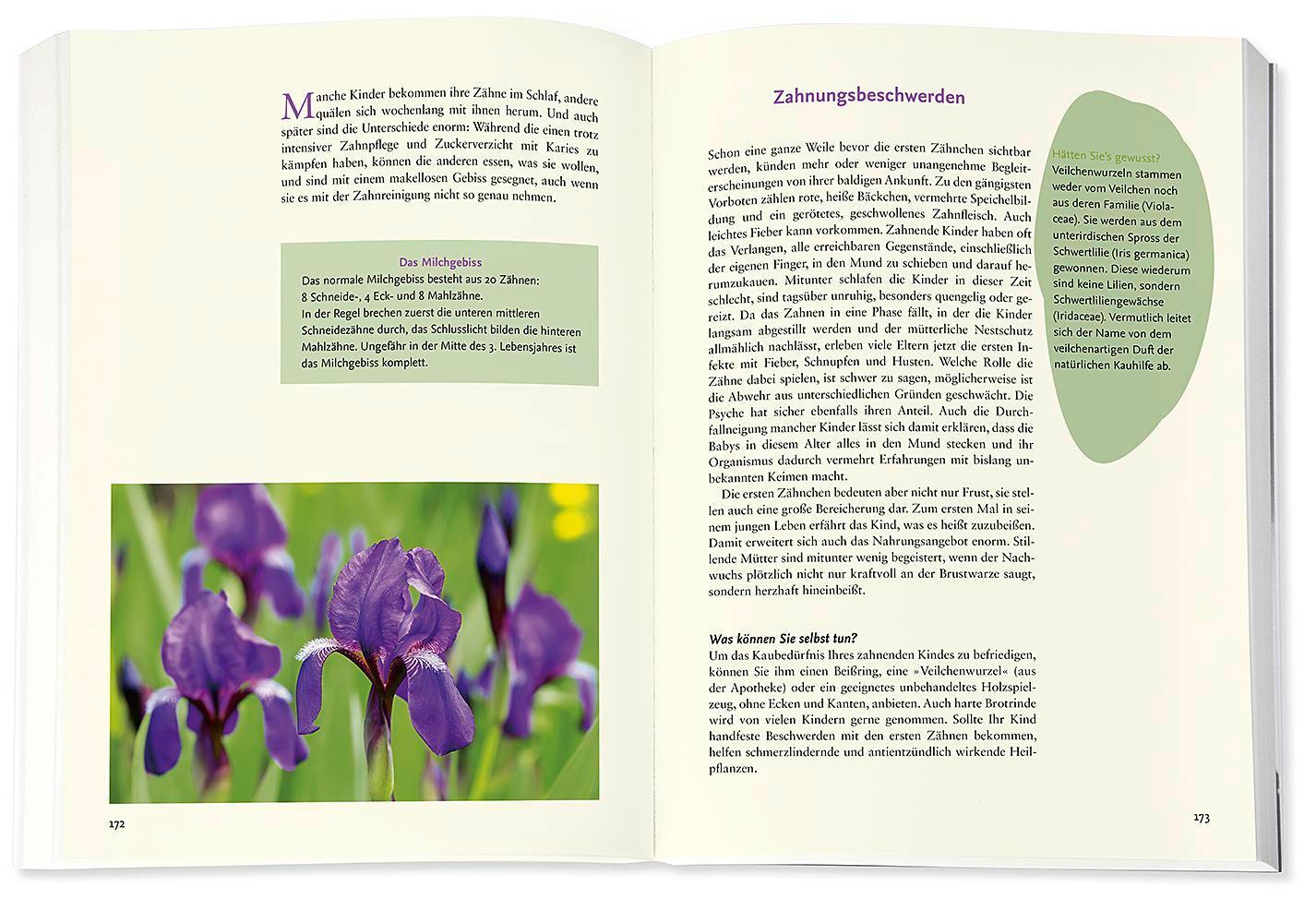 Bild: 9783426658413 | Kindersprechstunde bei Doktor Natur | Dorit Zimmermann | Taschenbuch