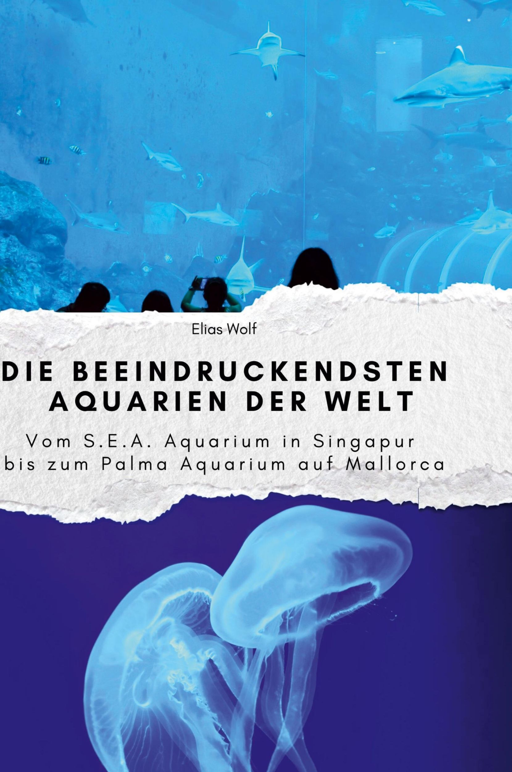 Cover: 9783759139931 | Die beeindruckendsten Aquarien der Welt | Elias Wolf | Buch | Deutsch