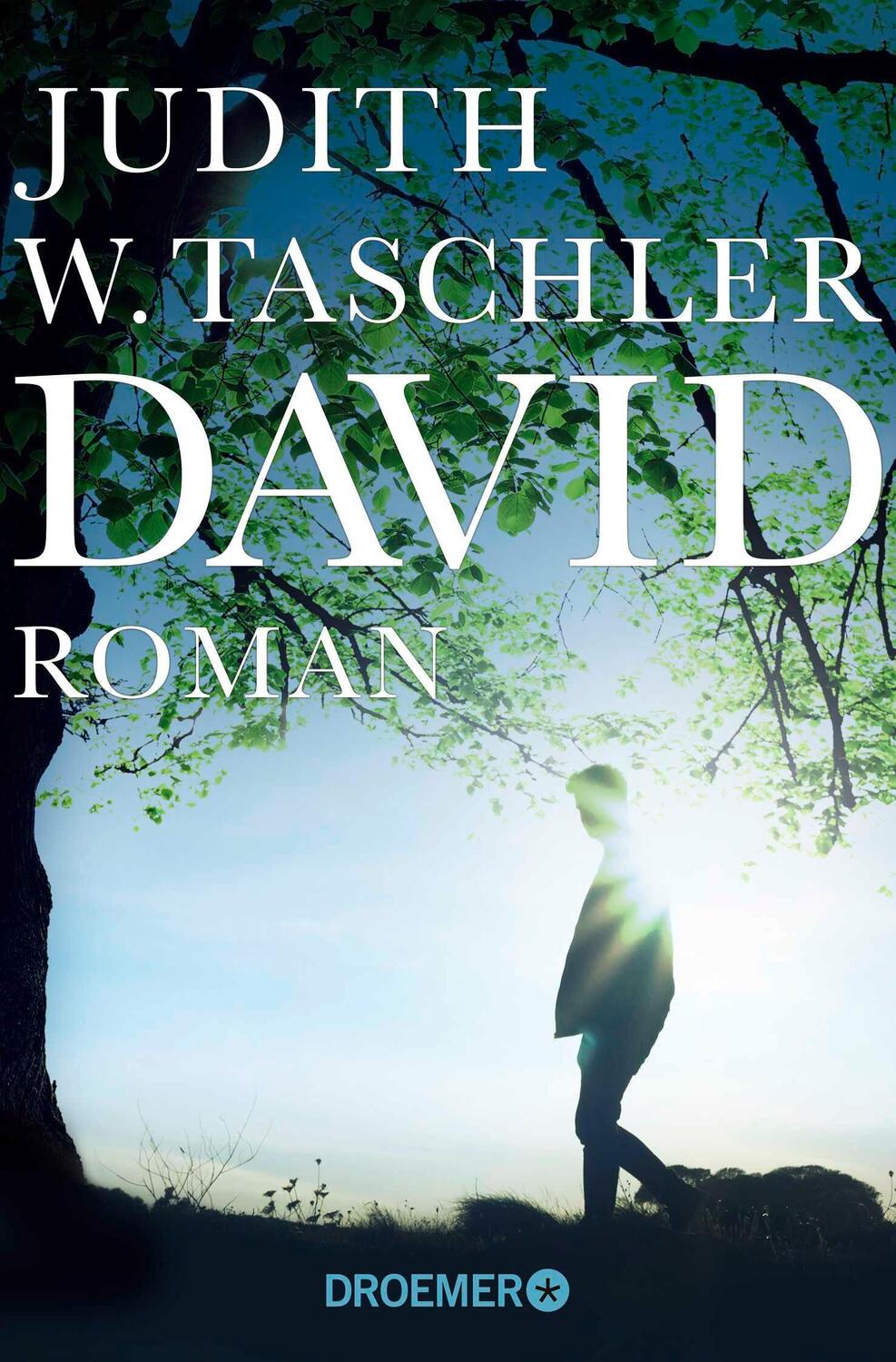 Cover: 9783426304808 | David | Roman | Judith W. Taschler | Taschenbuch | Paperback | 238 S.