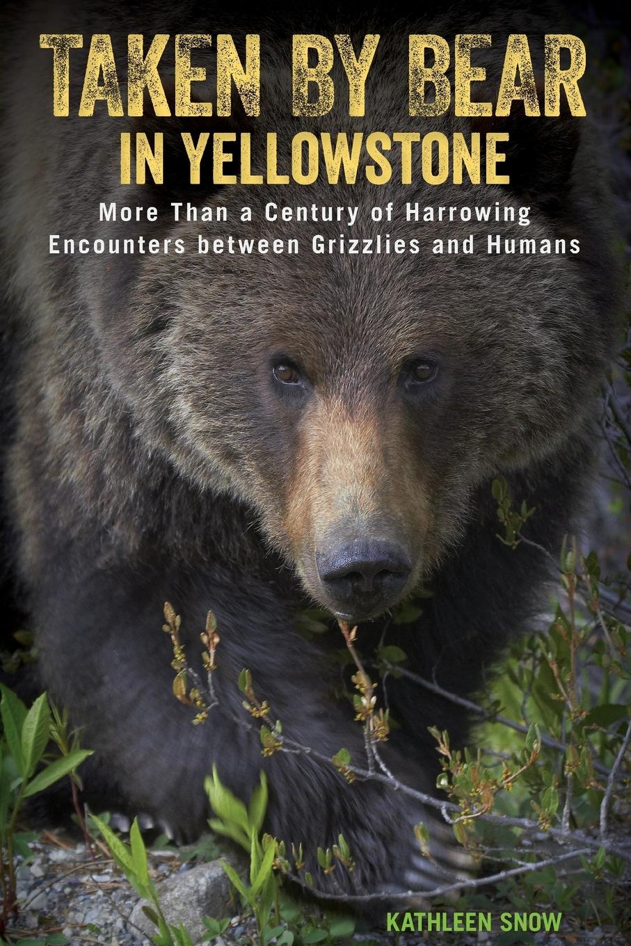 Cover: 9781493017713 | Taken by Bear in Yellowstone | Kathleen Snow | Taschenbuch | Englisch