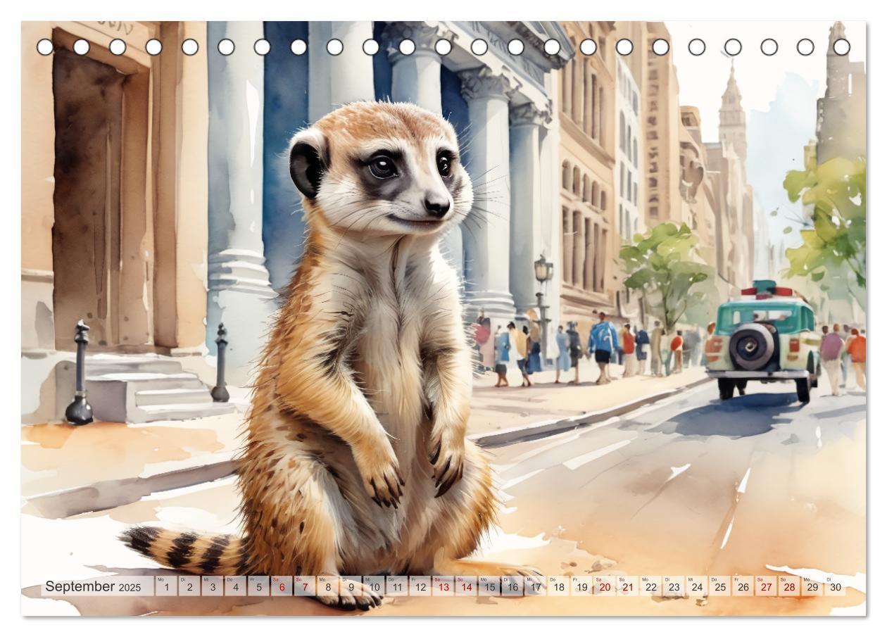 Bild: 9783383797972 | Erdmännchen in New York City (Tischkalender 2025 DIN A5 quer),...