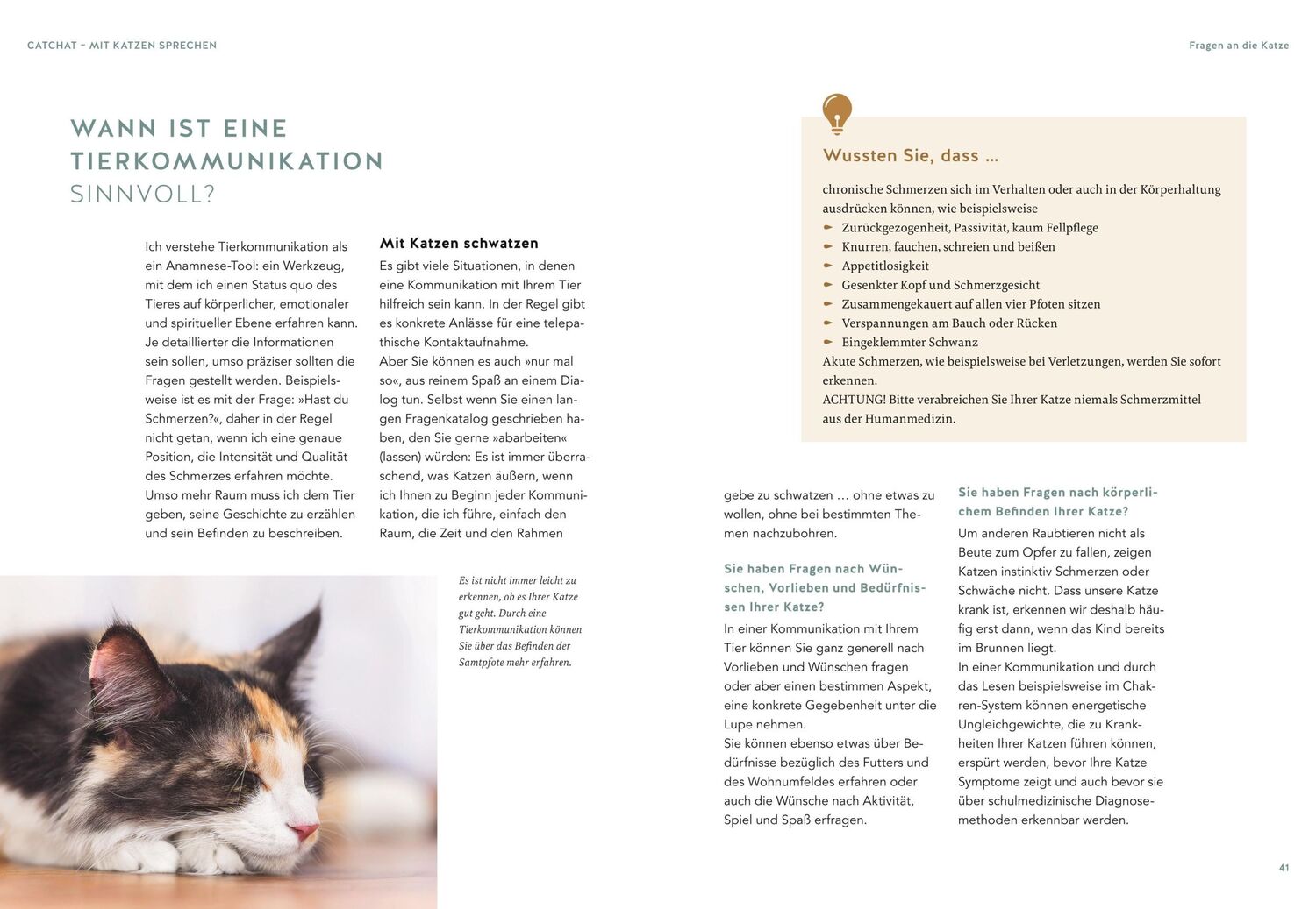 Bild: 9783833887895 | Was will mir meine Katze sagen? | Helke Brandt | Buch | 192 S. | 2023