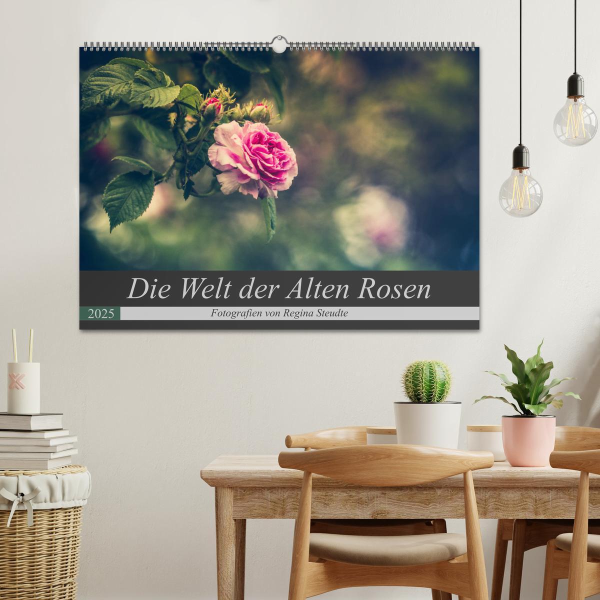 Bild: 9783435390380 | Die Welt der Alten Rosen (Wandkalender 2025 DIN A2 quer), CALVENDO...