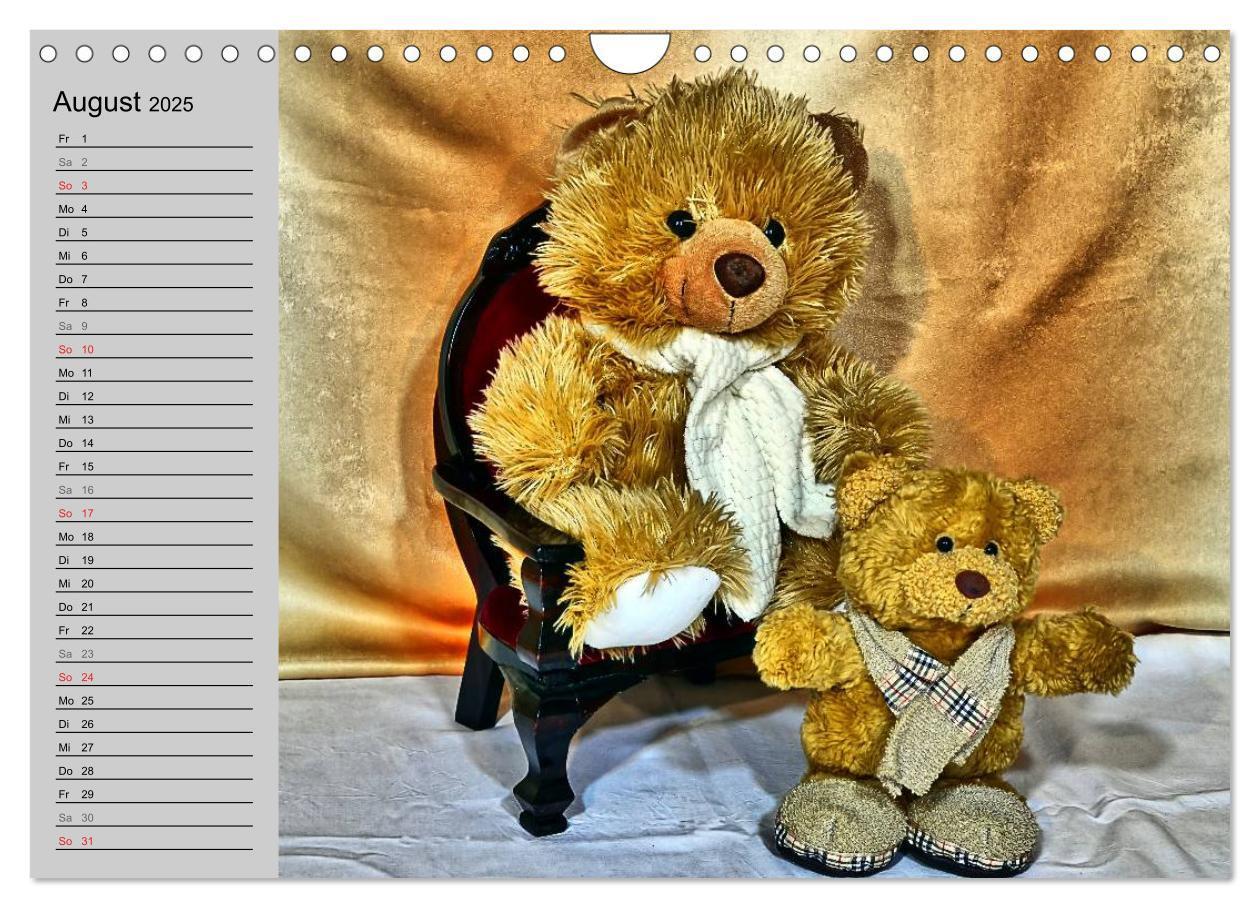 Bild: 9783435496068 | TEDDYBÄR, OH TEDDYBÄR... (Wandkalender 2025 DIN A4 quer), CALVENDO...