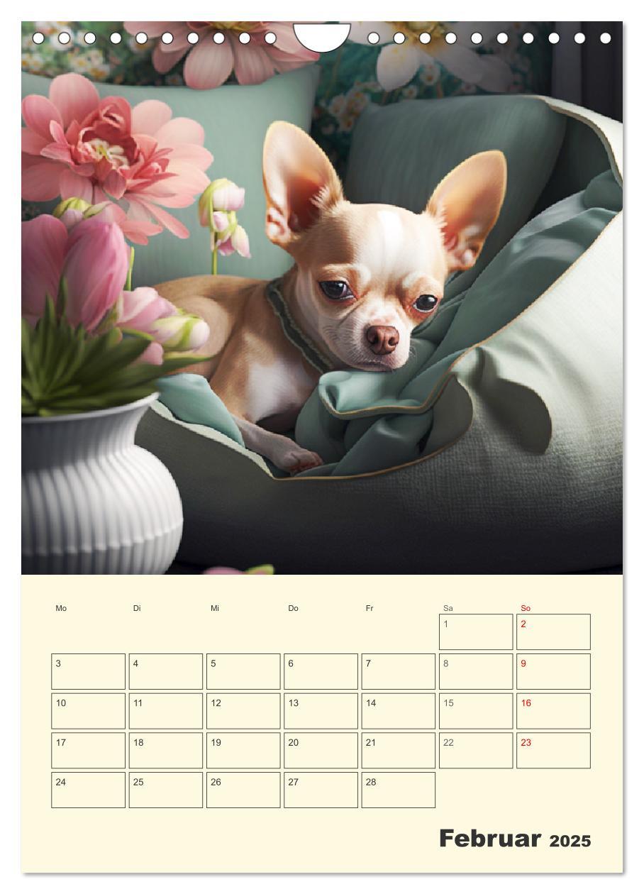 Bild: 9783435871766 | Witzige Chihuahuas. Glückliche Temperamentbündel (Wandkalender 2025...