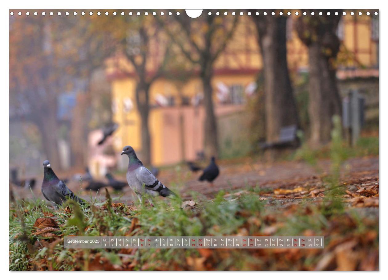 Bild: 9783457166543 | Lahnstein, wo die Lahn in den Rhein fließt (Wandkalender 2025 DIN...