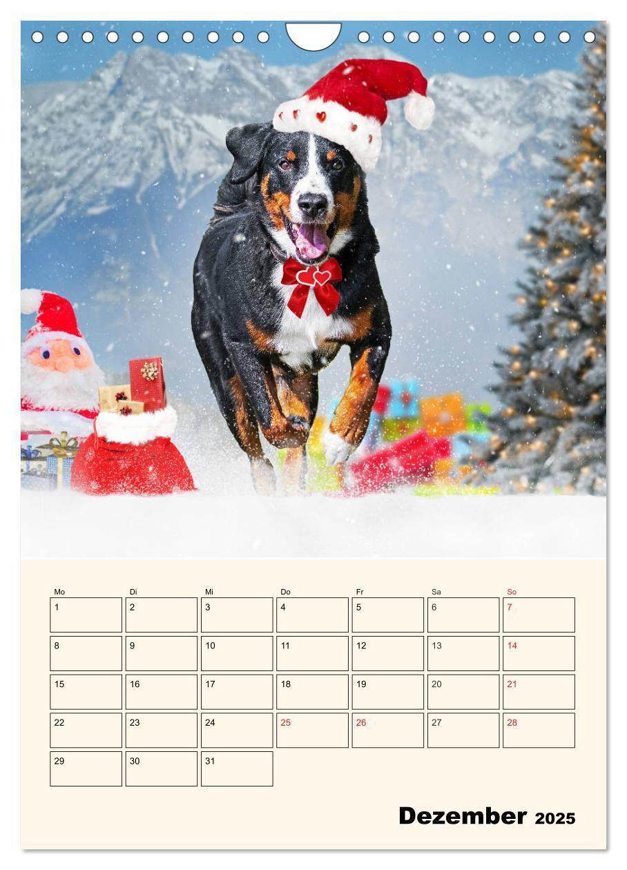 Bild: 9783435936939 | Appenzeller Sennenhund - Mit Plan durch das Jahr (Wandkalender 2025...