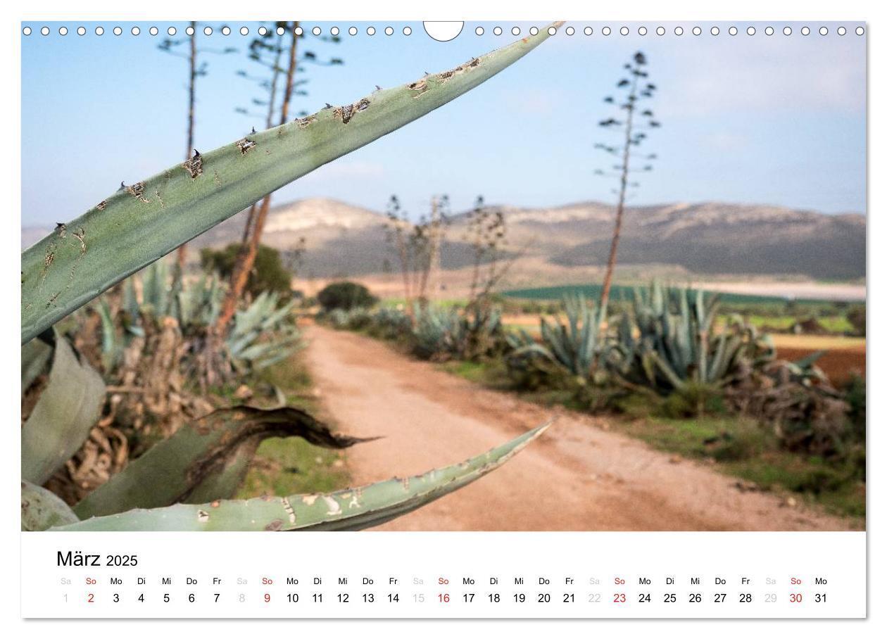 Bild: 9783435515554 | Fotoimpressionen aus Andalusien (Wandkalender 2025 DIN A3 quer),...