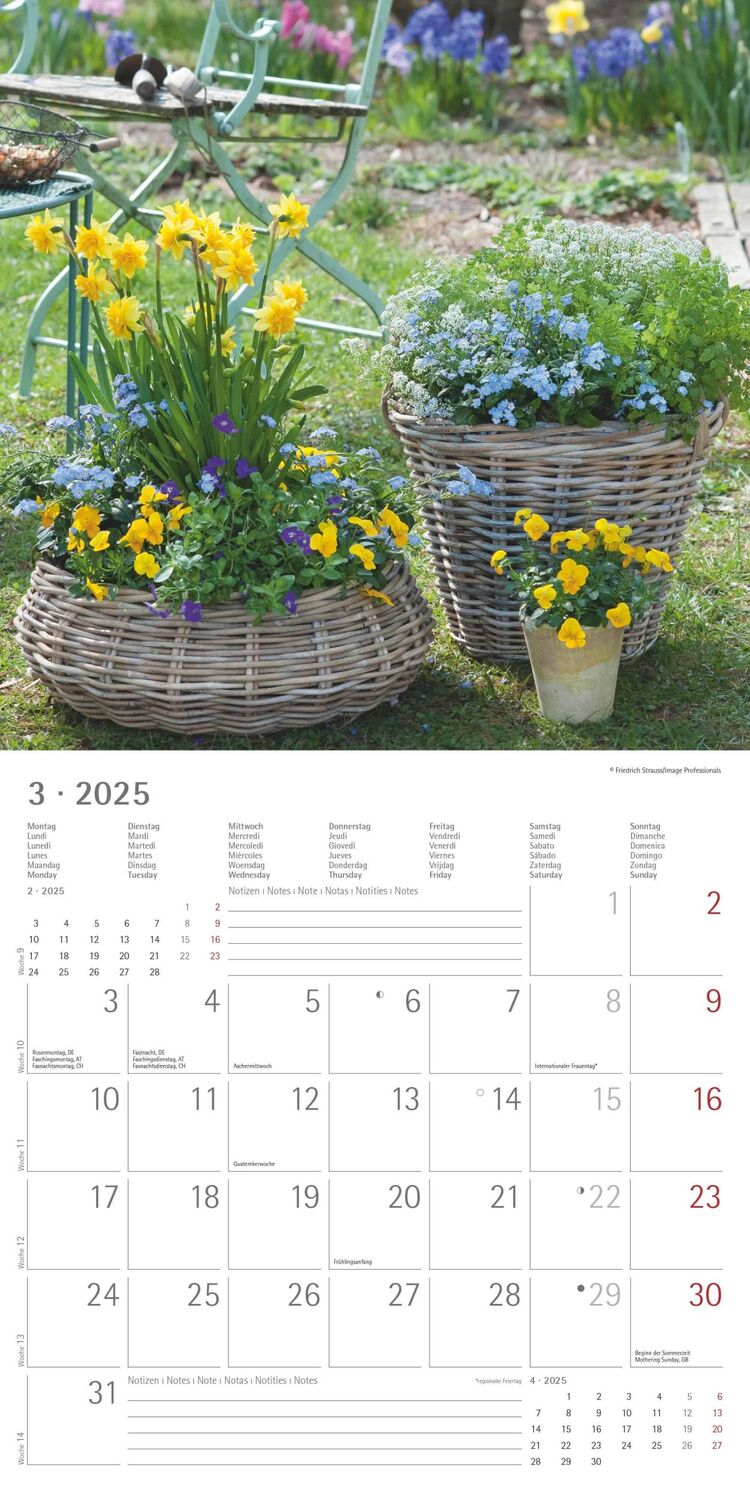 Bild: 4251732340636 | Garden &amp; Decoration 2025 - Broschürenkalender 30x30 cm (30x60...