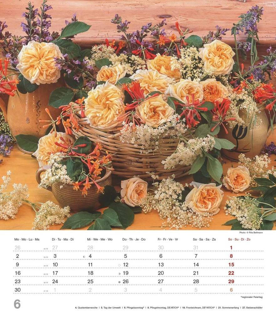 Bild: 4251732342142 | Alpha Edition - Blumenträume 2025 Wandkalender, 30x34cm,...